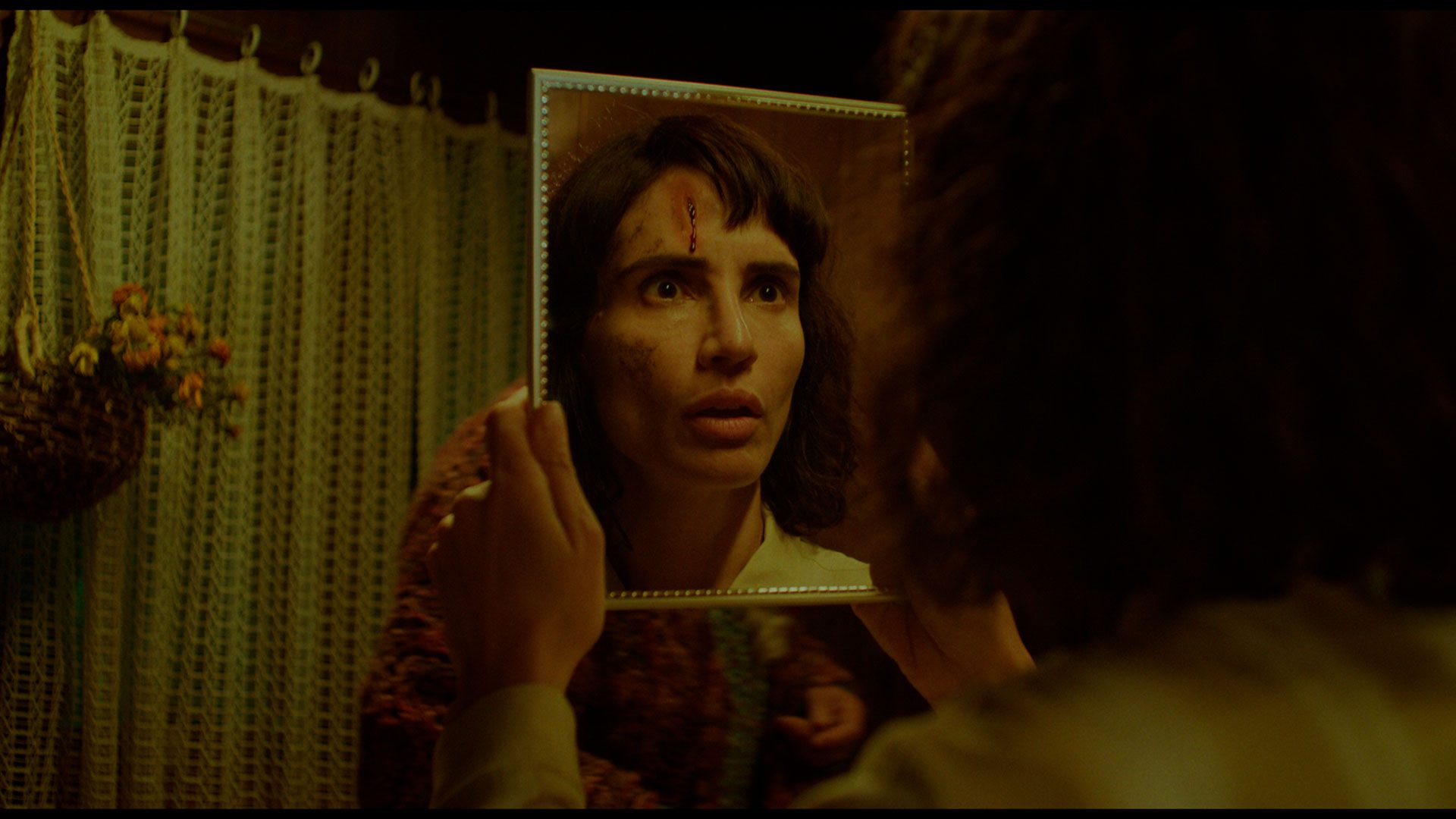 La vaca que cantó una canción hacia el futuro